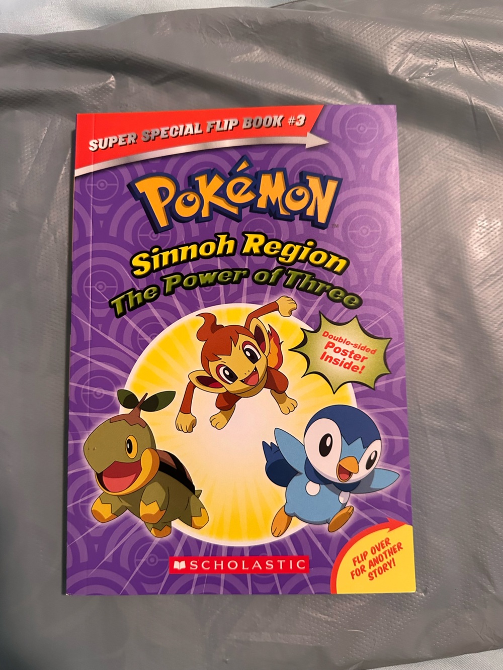 Pokémon Hoenn Region Sinnoh Region Flip Book